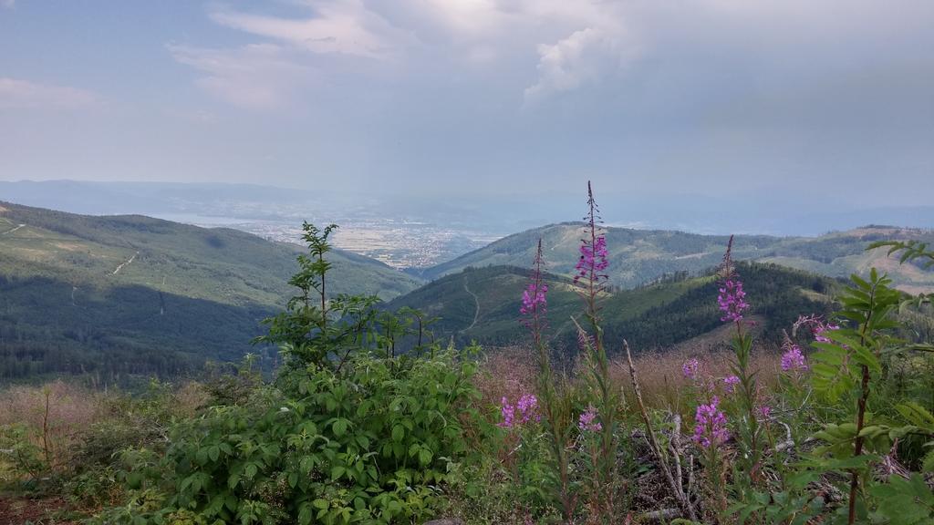 Bed and Breakfast Pod Klimczokiem I Szczyrk Exteriér fotografie