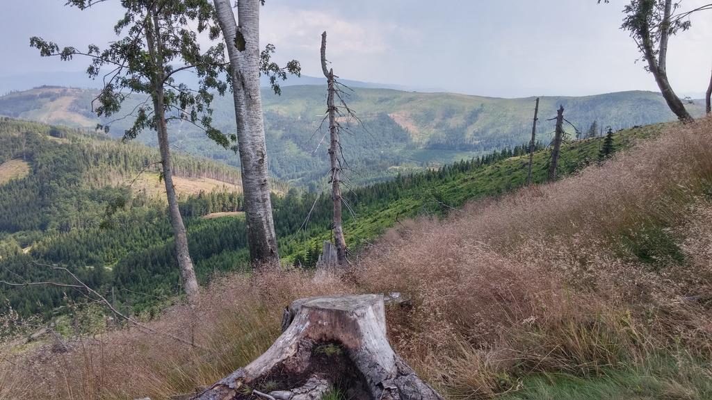 Bed and Breakfast Pod Klimczokiem I Szczyrk Exteriér fotografie
