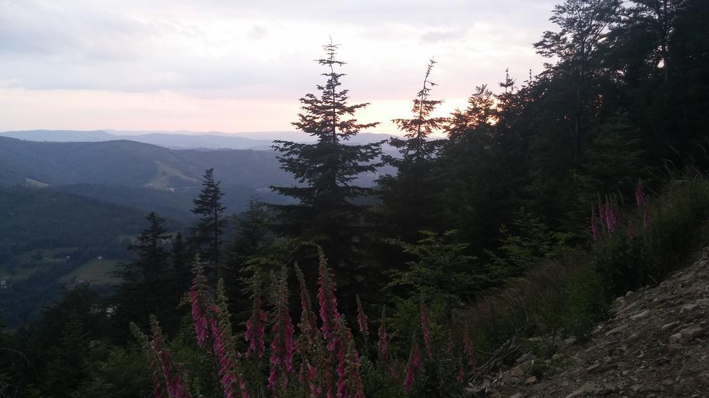 Bed and Breakfast Pod Klimczokiem I Szczyrk Exteriér fotografie