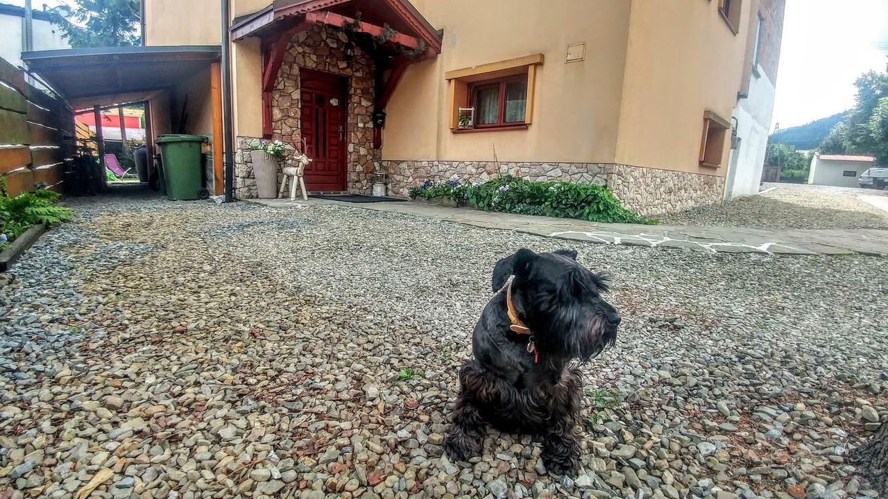 Bed and Breakfast Pod Klimczokiem I Szczyrk Exteriér fotografie